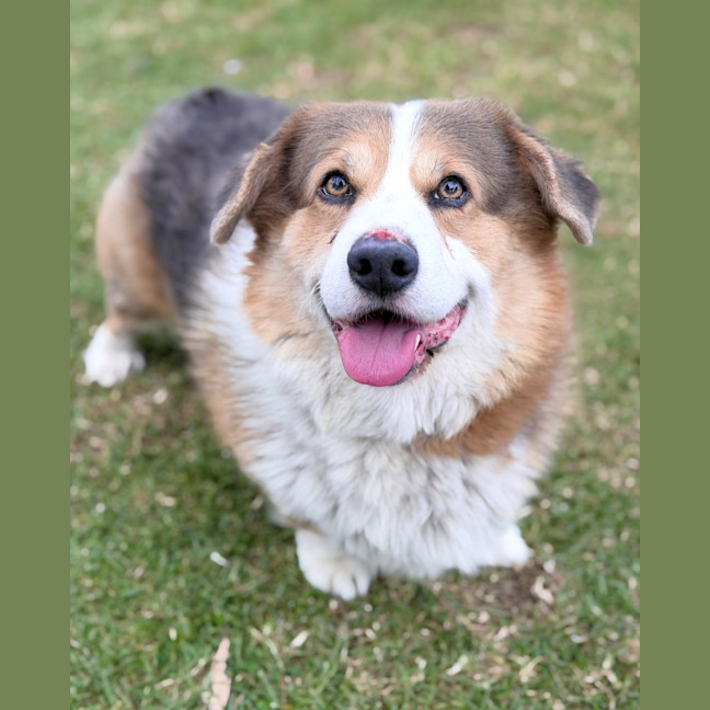 Photo of Duke