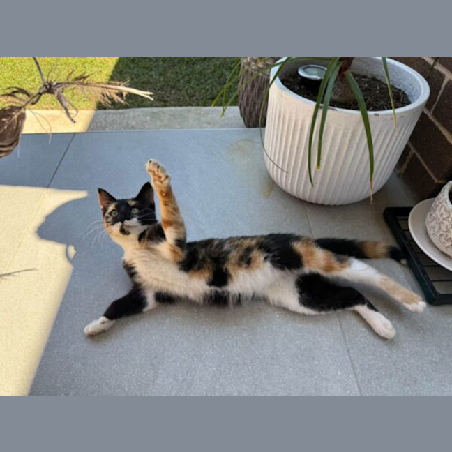 Photo of Holly