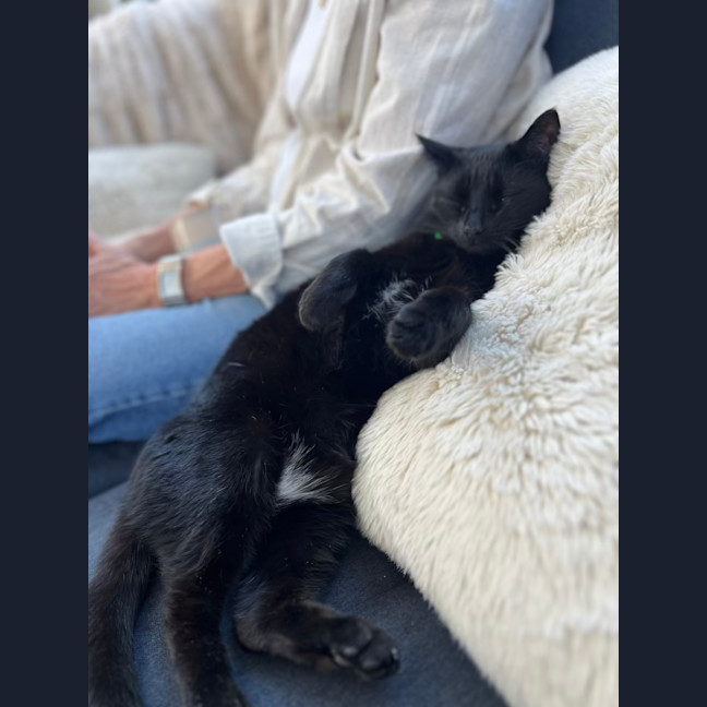 Photo of Holly