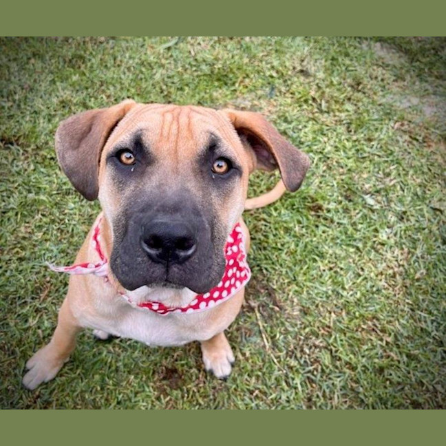 Photo of Liam O’cleary