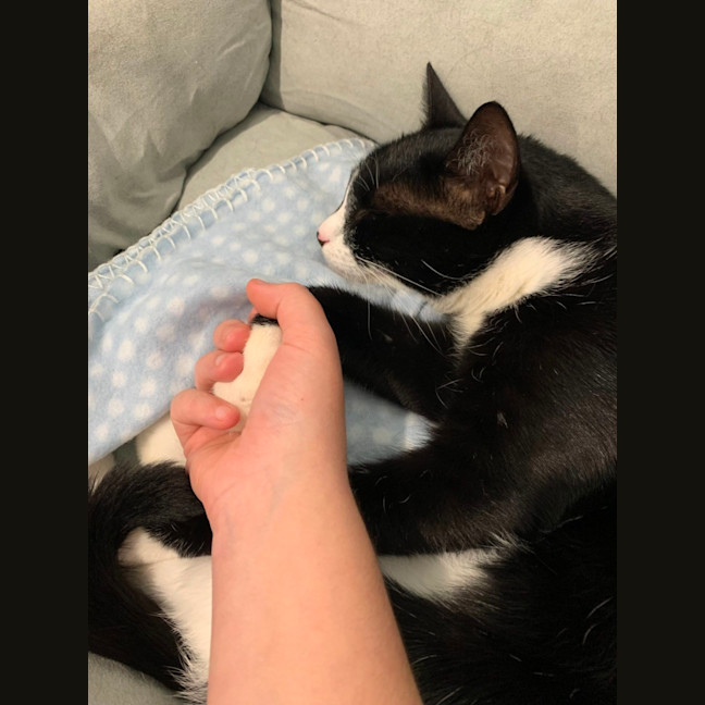 Photo of Mieka And Loki