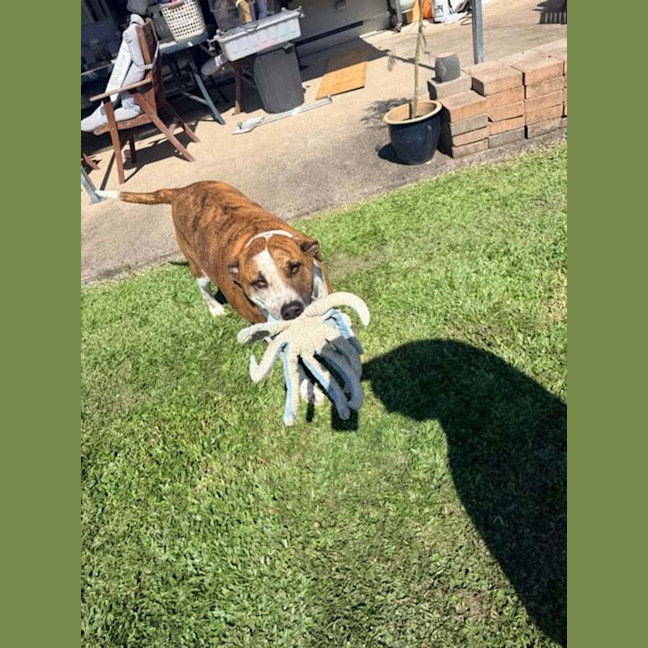 Photo of Roxie