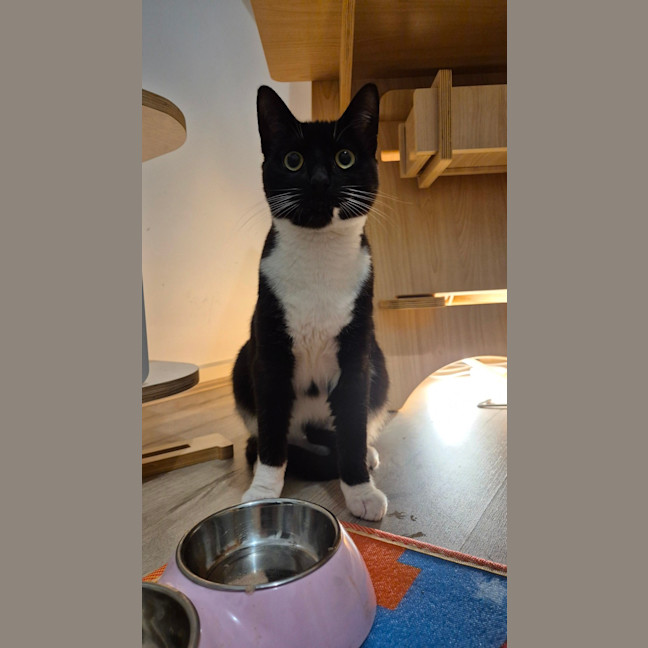 Photo of Benedict (Benny)