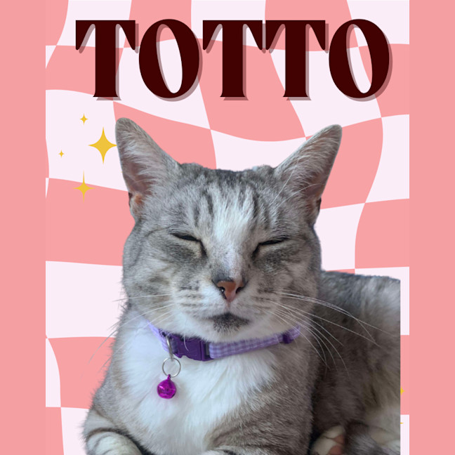 Photo of 💜 Totto 💜