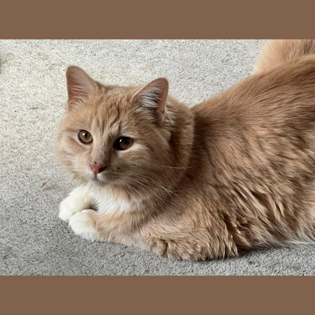 Photo of Ricardo Silvanus