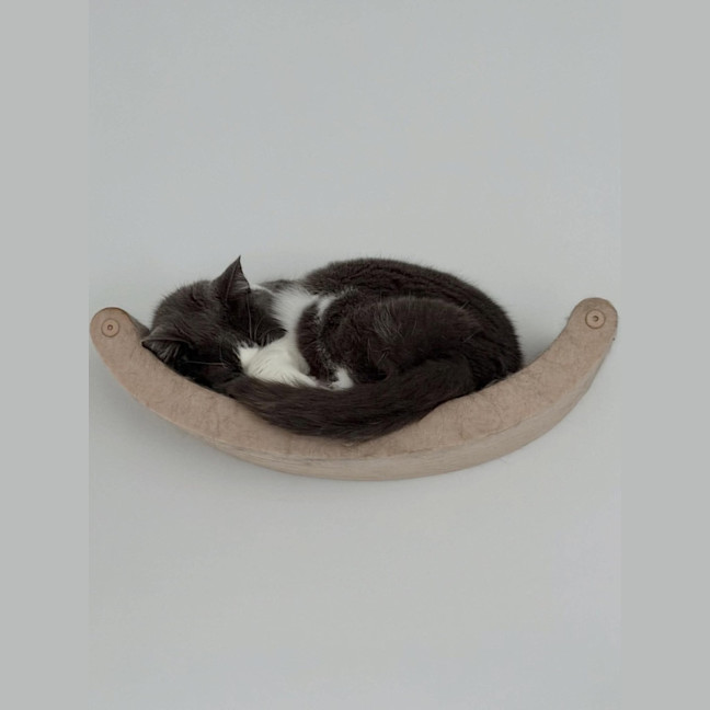 Photo of Whis   In Foster Care In Thornbury
