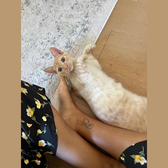 Photo of Kevin And Shadow