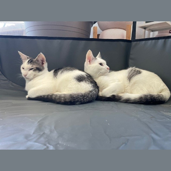 Photo of Alice (With Edward)