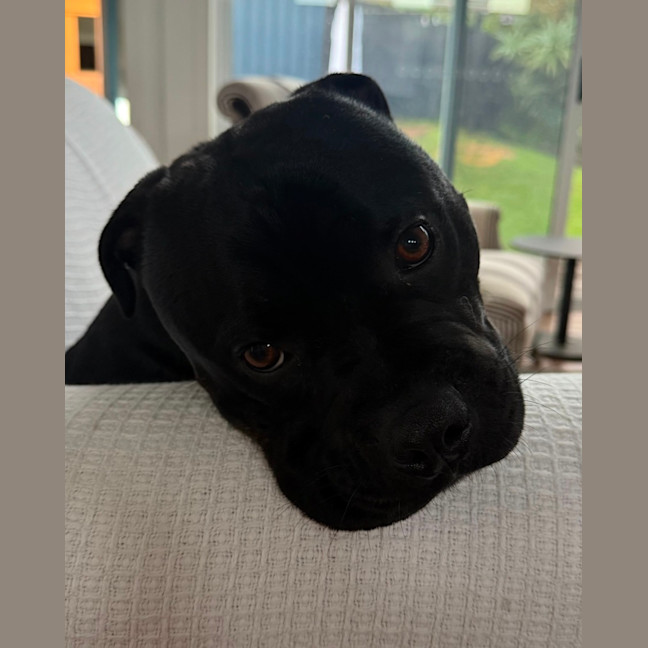 Photo of Reggie