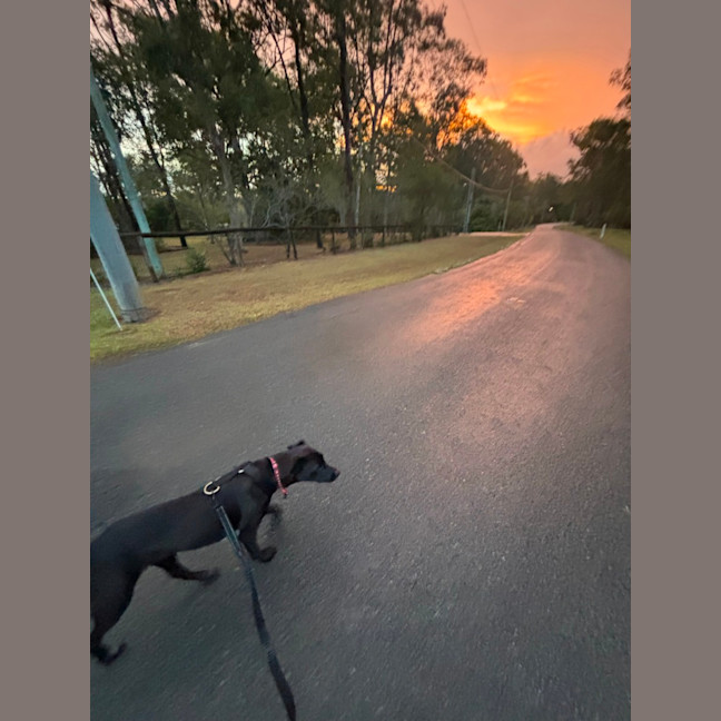 Photo of Mia