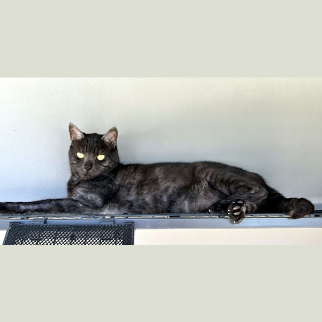 Photo of Dodge & Ada