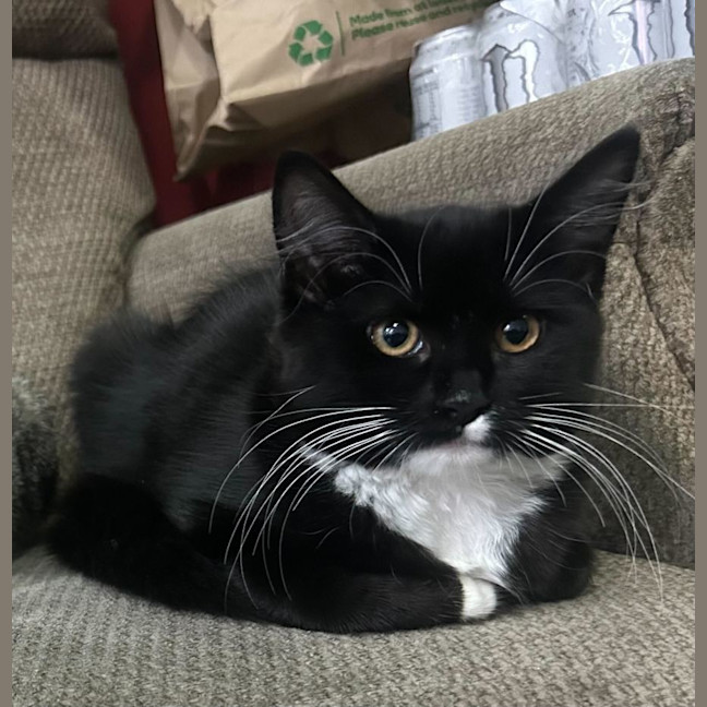 Photo of Peachy Keen