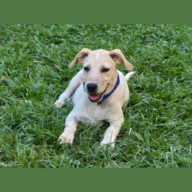 Photo of Nitro
