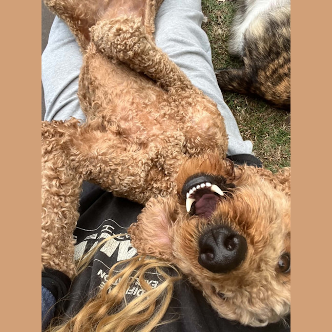 Photo of Molly