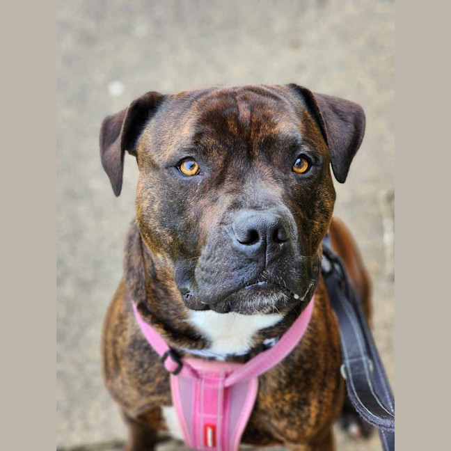 Photo of 🍃 Miguel 5402 🍃