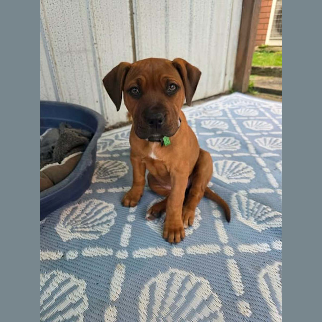 Photo of Storm