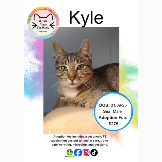 Photo of Kyle