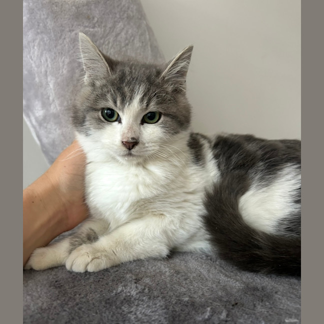 Photo of Roo & Kipper 