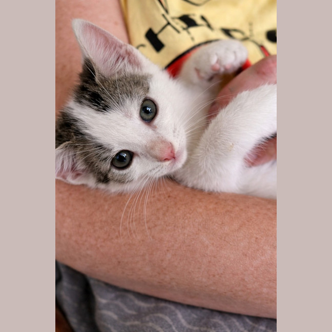 Photo of 🐾 Mogwai 🐾