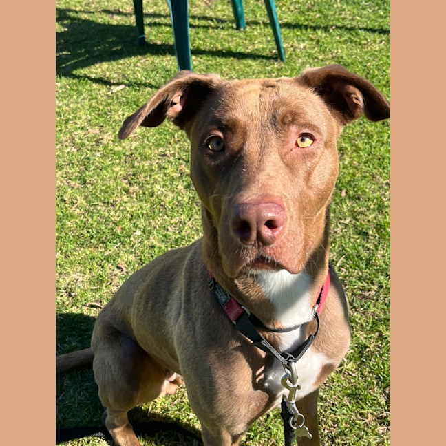Photo of Zoe