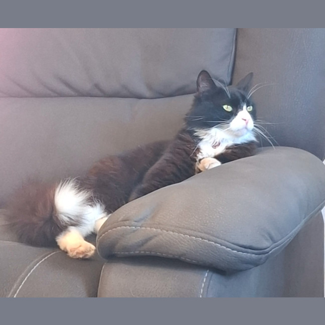 Photo of Thomas
