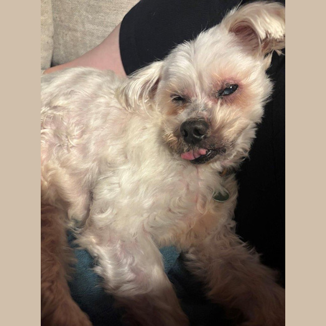 Photo of Wally And Ollie Peggotty