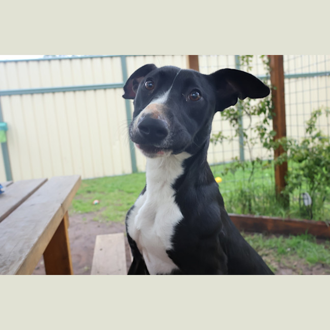 Photo of Tessie