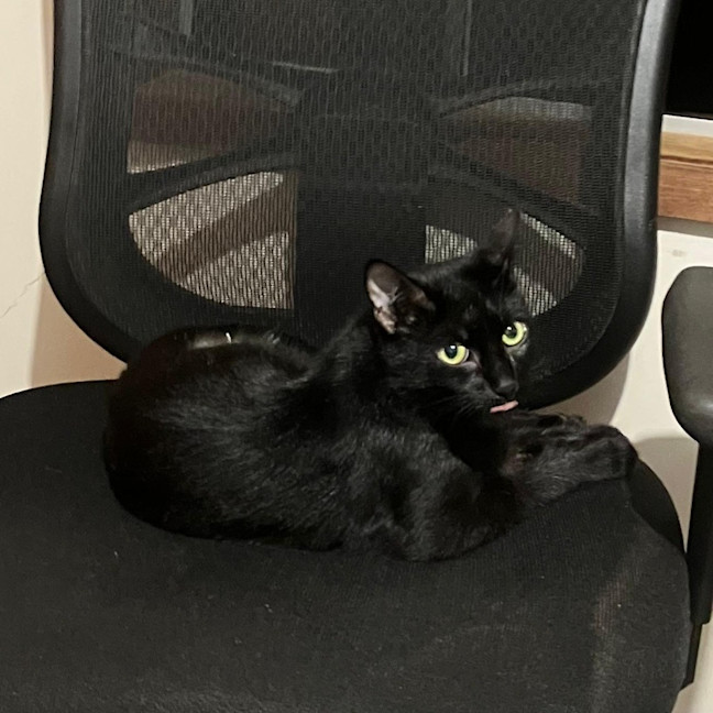 Photo of Chimi