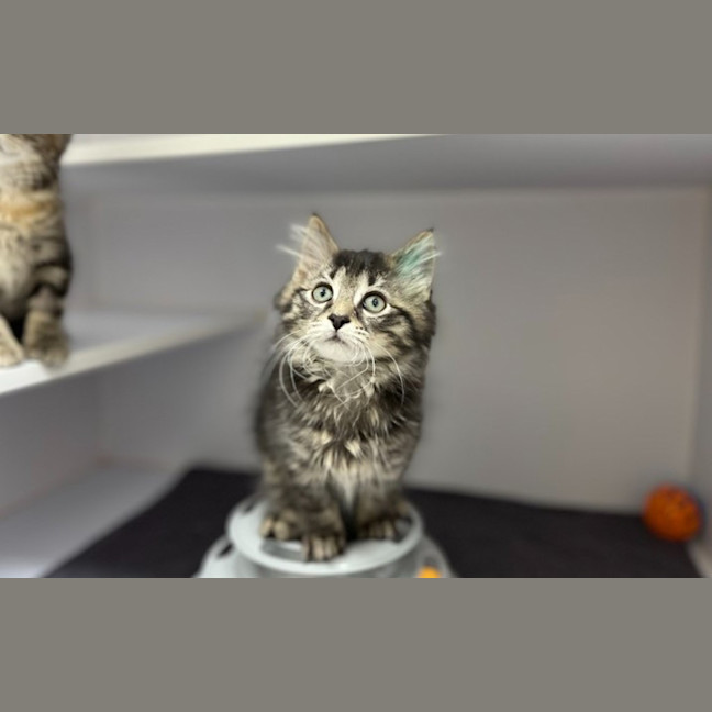 Photo of Evie