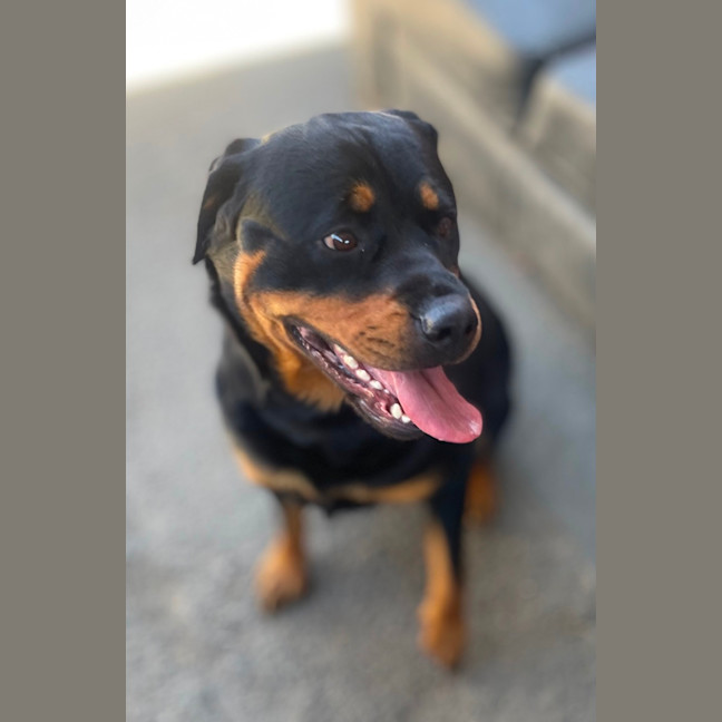 Photo of Lola
