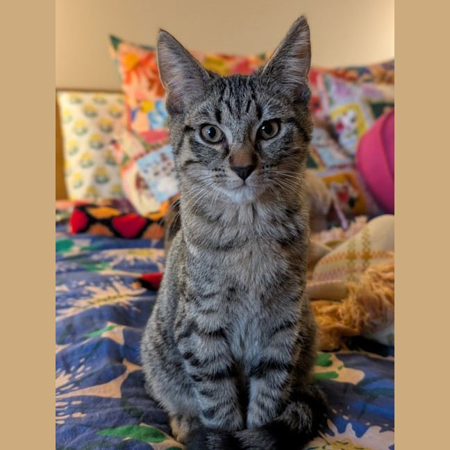 Photo of Tim Tam
