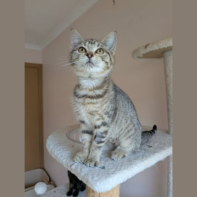 Photo of Kyla