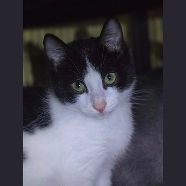 Photo of Louise