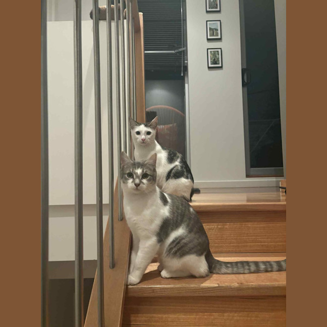 Photo of Cloud & Pebble