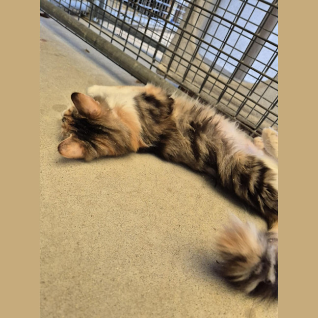 Photo of Maree! 🎀