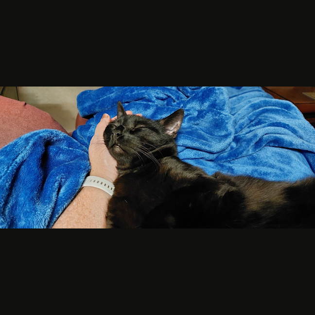 Photo of Salem