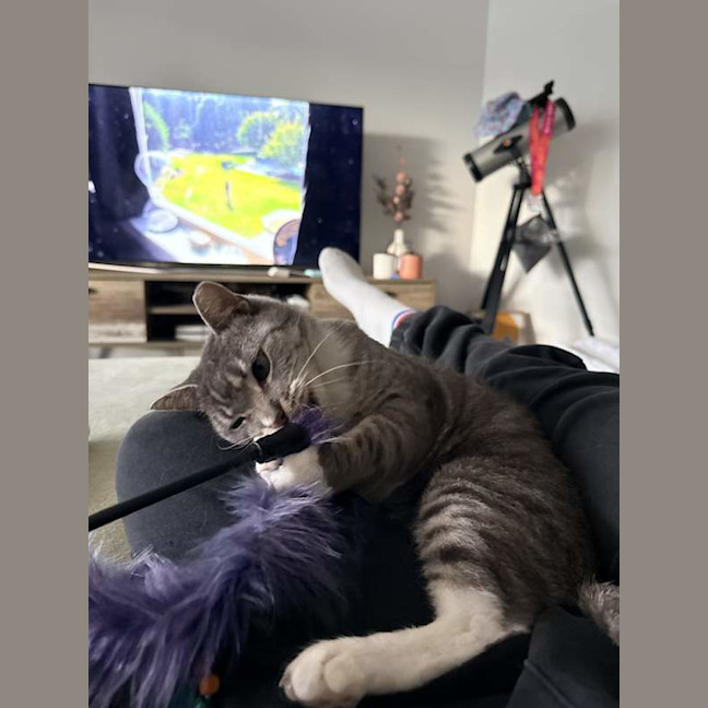Photo of Thunda