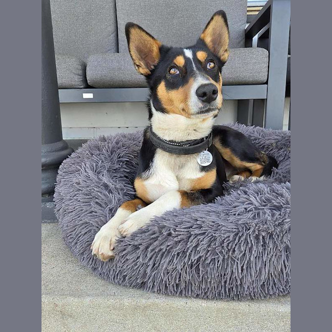 Photo of Roxy