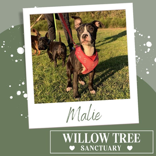 Photo of Malie