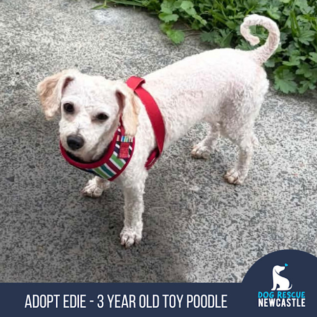 Photo of Edie