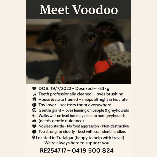 Photo of Voodoo 