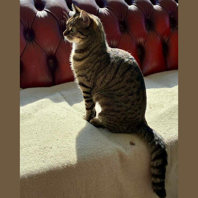 Photo of Squizz