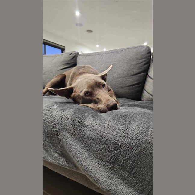Photo of Stormy 