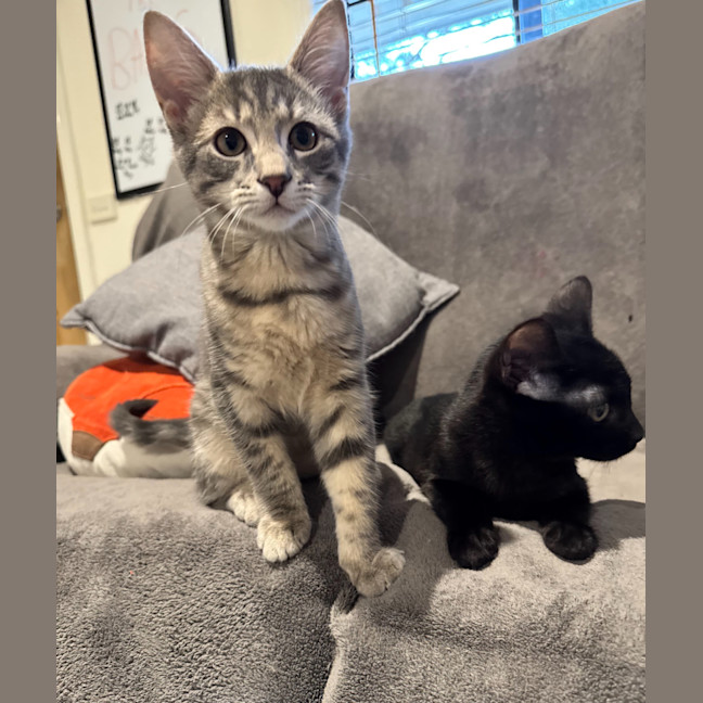 Photo of Freddie Aka Freaking Freddie