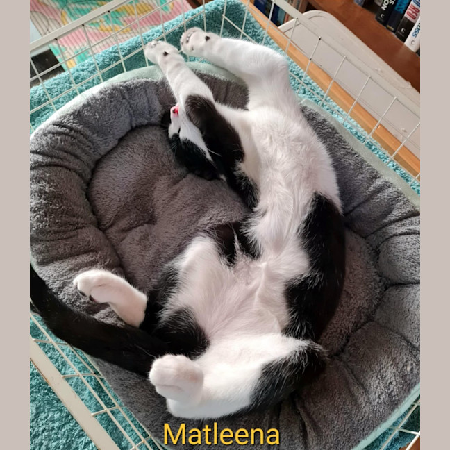 Photo of Matleena