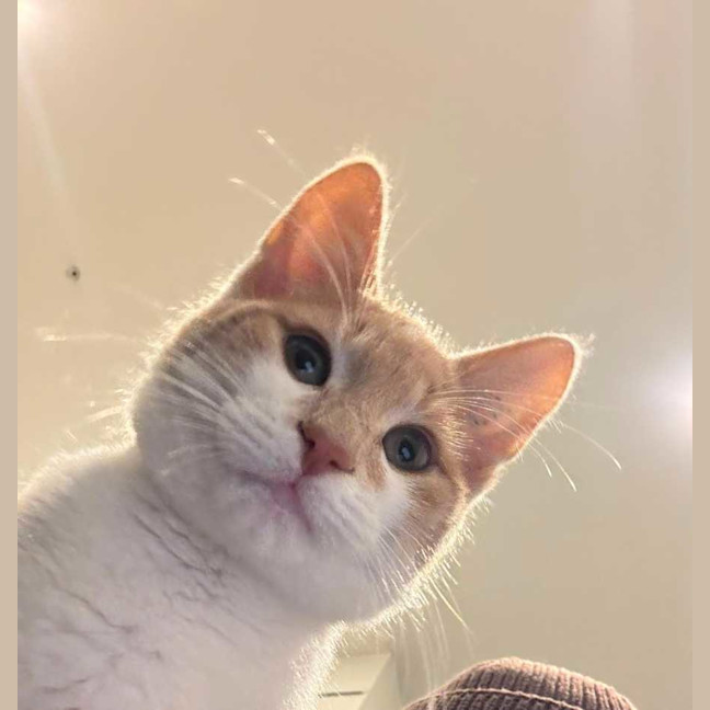 Photo of Bingo