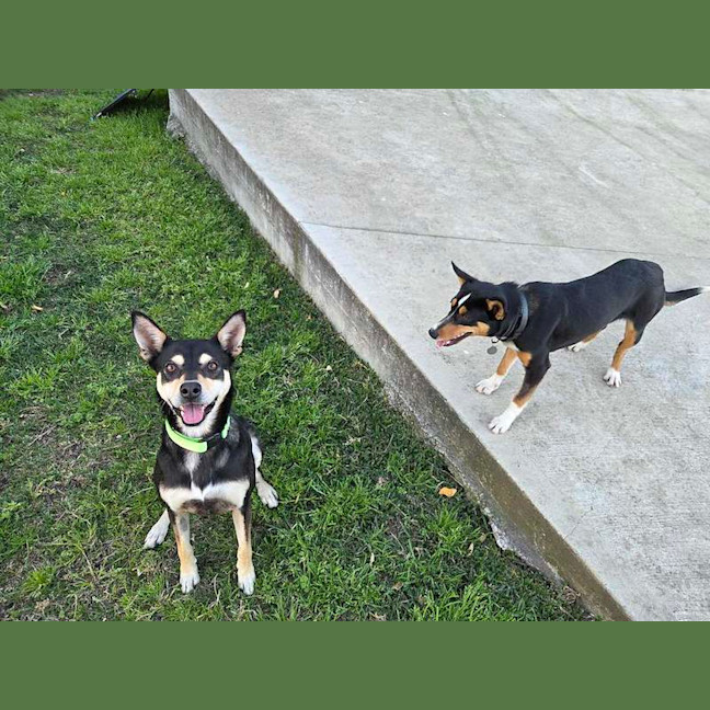 Photo of Roxy