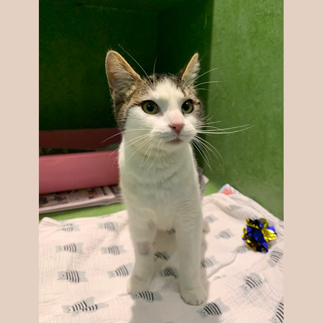 Photo of Enid
