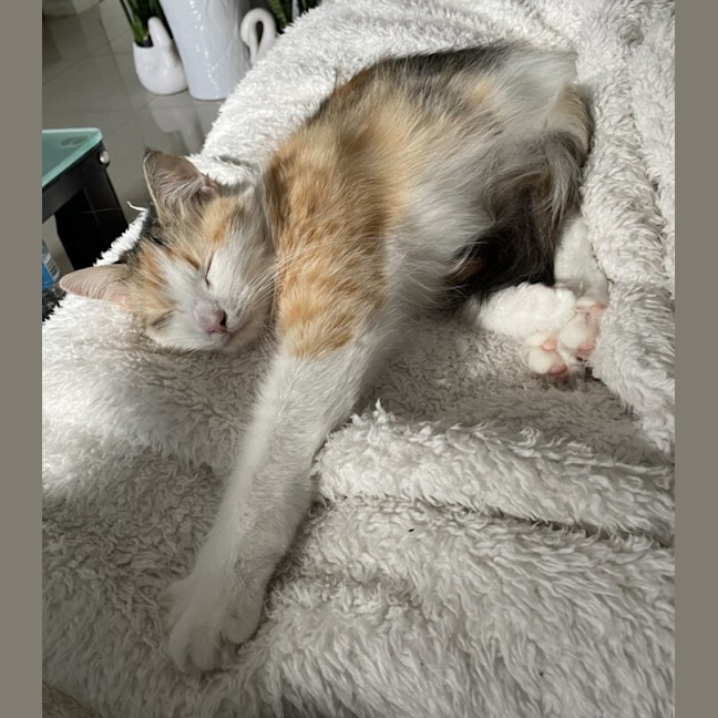 Photo of Kumi