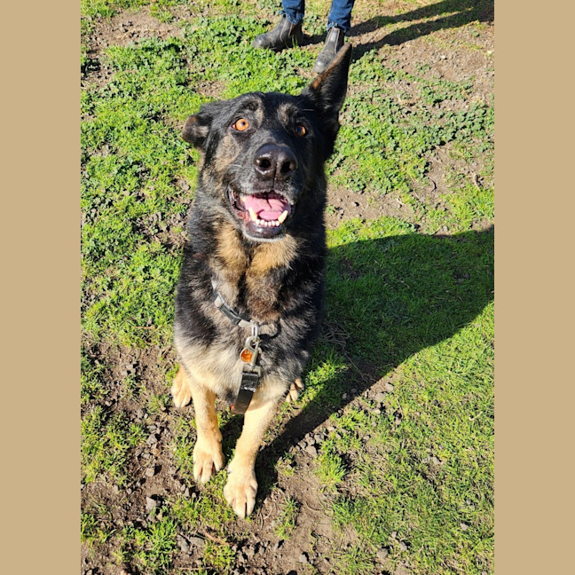 Photo of Lucy (63834)
